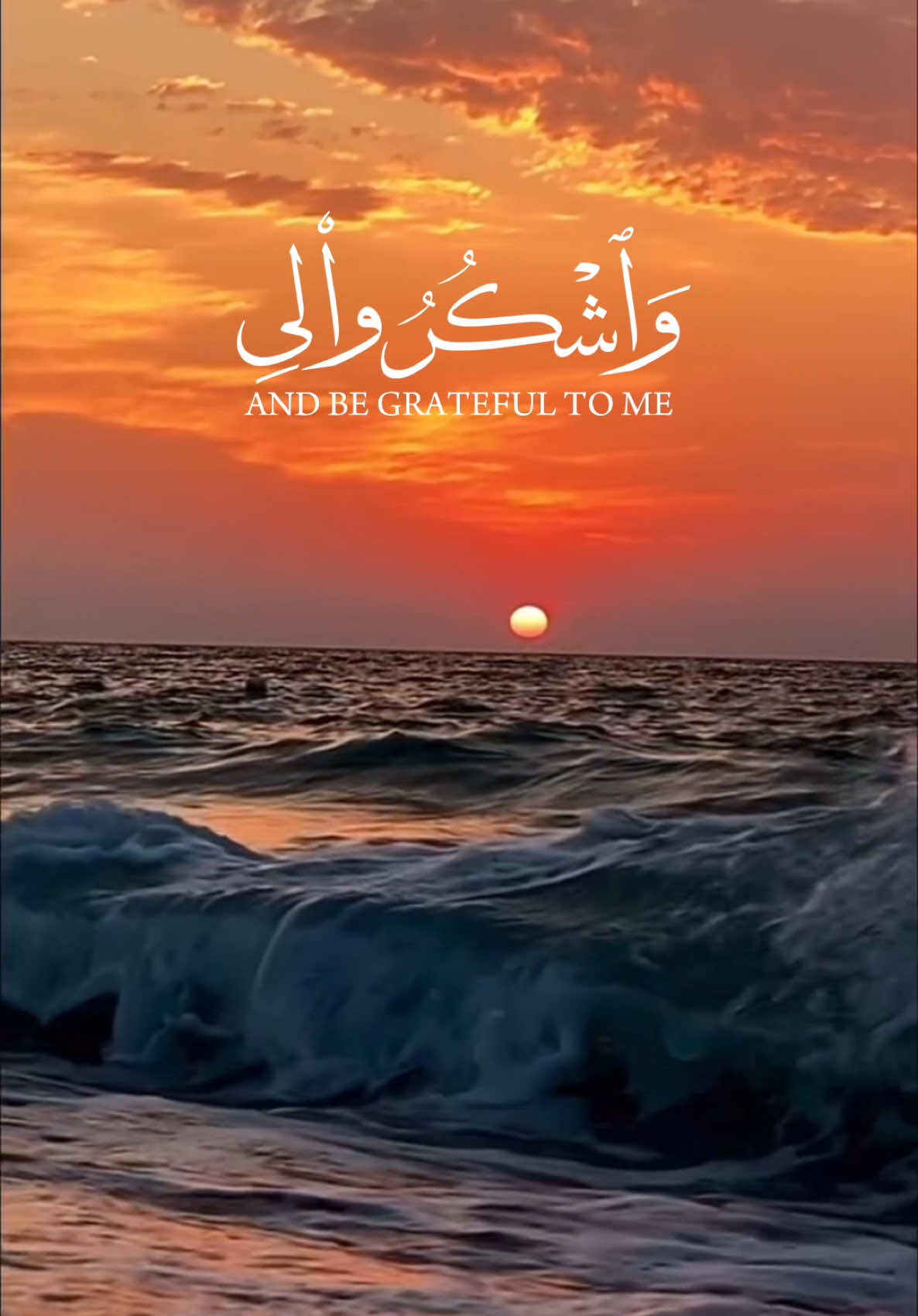 #CapCut #zikr_and_noor #muslimtiktok #islam #allah #prophetemuhammad #quran #makkah #madina #muftimenk #99namesofallah 
