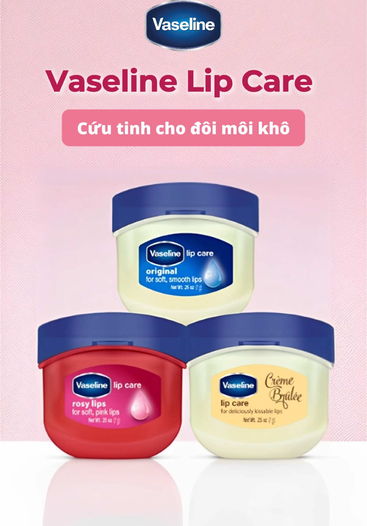 🫶Thoa dưỡng môi hằng ngày để không bị khô môi thâm sạm, lúc nào cũng căng căng mọng mọng 🍒nha chị em!!!! #vaselinelipcare #vaseline #lipcare #sonduong #duongmoi #xuhuong #fyp #BeautyTok #lipbalm 