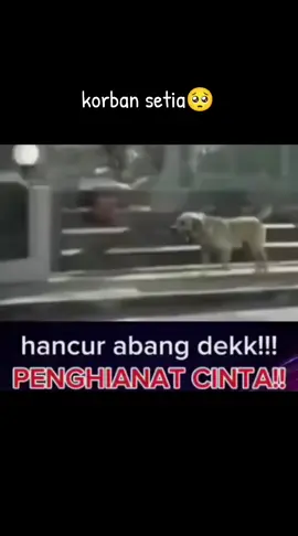 #penghianatcinta #korbansetia #fypage 