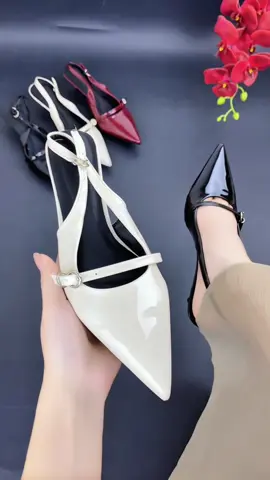 Giày cao gót 3p mũi nhọn đai ngang phối khuy cài hàng cao cấp full hộp (AH34) #giaynu #giayxinh #depdep #depxinh #depcaogot #giaycaogot #giaymuinhon 