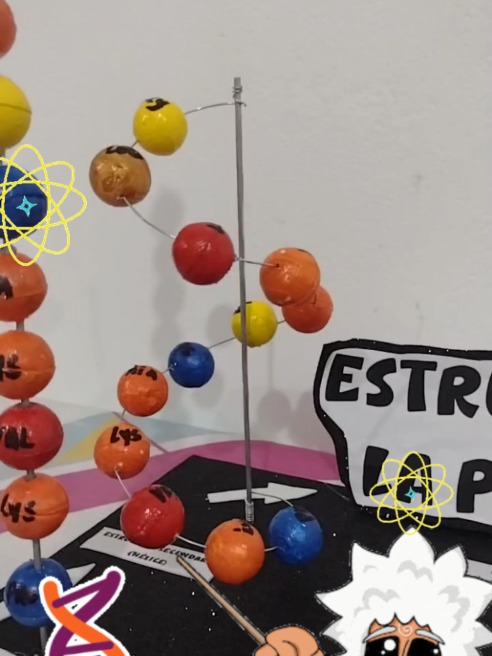 Maquetas Estructura de la Proteína #creativaemma #lamerced #lamercedchanchamayo #huancayo #lima #maqueta #trabajoescolar #escolar #estructuradelaproteina #cienciaescolar @Luis Montiel Hernandez @laly 