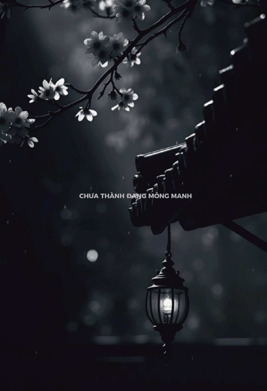 Đâu là nơi dừng chân...!! #nhactamtrang #videotamtrang #nhachaymoingay #minhminh.0907 #xuhuong 