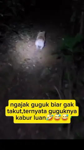 kena prank sama guguk#humor #ngakak #kabur 