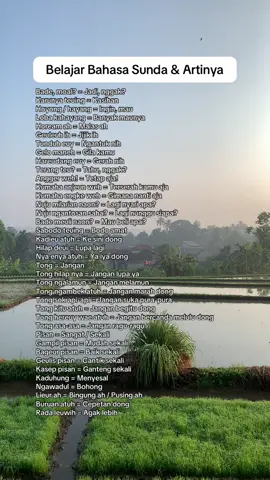 Belajar bahasa sunda dan artinya #sundapisan #bahasasunda #belajarbahasasunda #aslisunda #fyp #viralid
