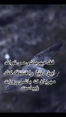 #فقد مهربانی می تواند این دنیا# را قشنگ کند مهربان# که باشی روزت زیباست