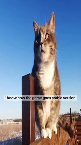 I know how the game goes #funny #fyp #gurt #iknowhowthegamegoes #meme 