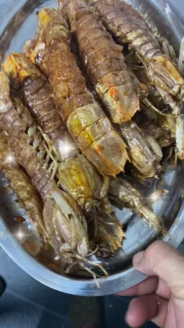 bề hấp thuyền sẵn kho chỉ cần Ib #xuhuong#quynhphuong 