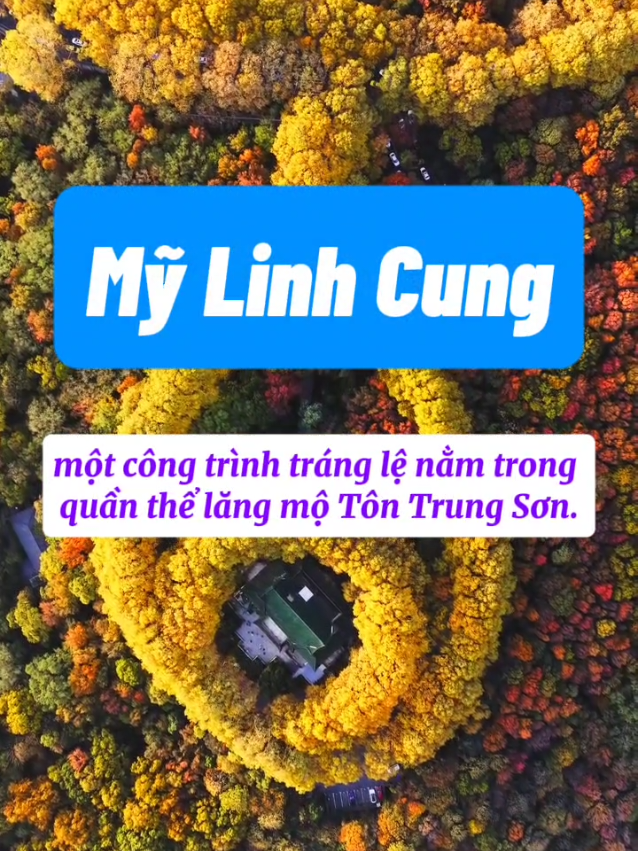 Đại Lộ Ngô Đồng - Mỹ Linh Cung Nam Kinh. Minh chứng tình yêu của Tưởng Giới Thạch dành cho người vợ của ông #nguyetchina @Nguyệt China 
