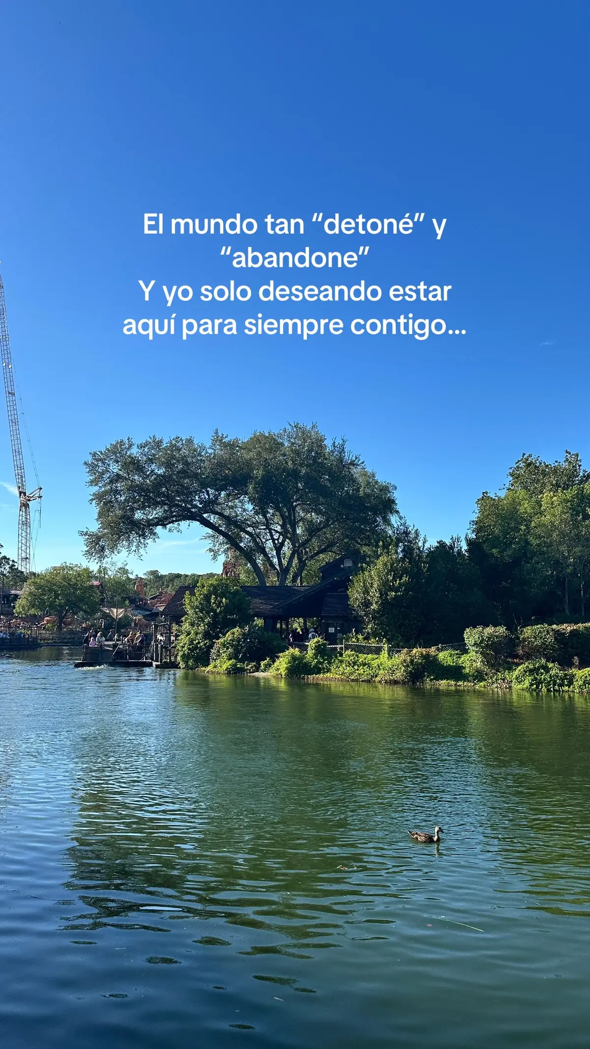 Yo deseando estar contigo #frasesparadedicar #amordepareja 
