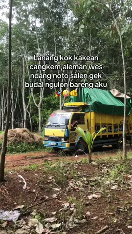 Tanggerang yng d7