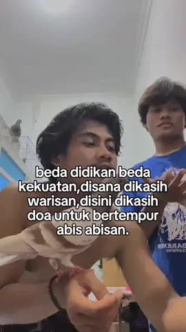 mesin tempur sedang dalam prosess💪🏻...#fy#fyp#beranda#merpatikolong#merpatilovers#bokirsasmita#quotes#fyppppppppppppppppppppppp 