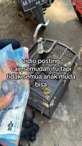 kualitas dulu baru cair#kicaumania #kenarimaniaindonesia #fypp #fypage 