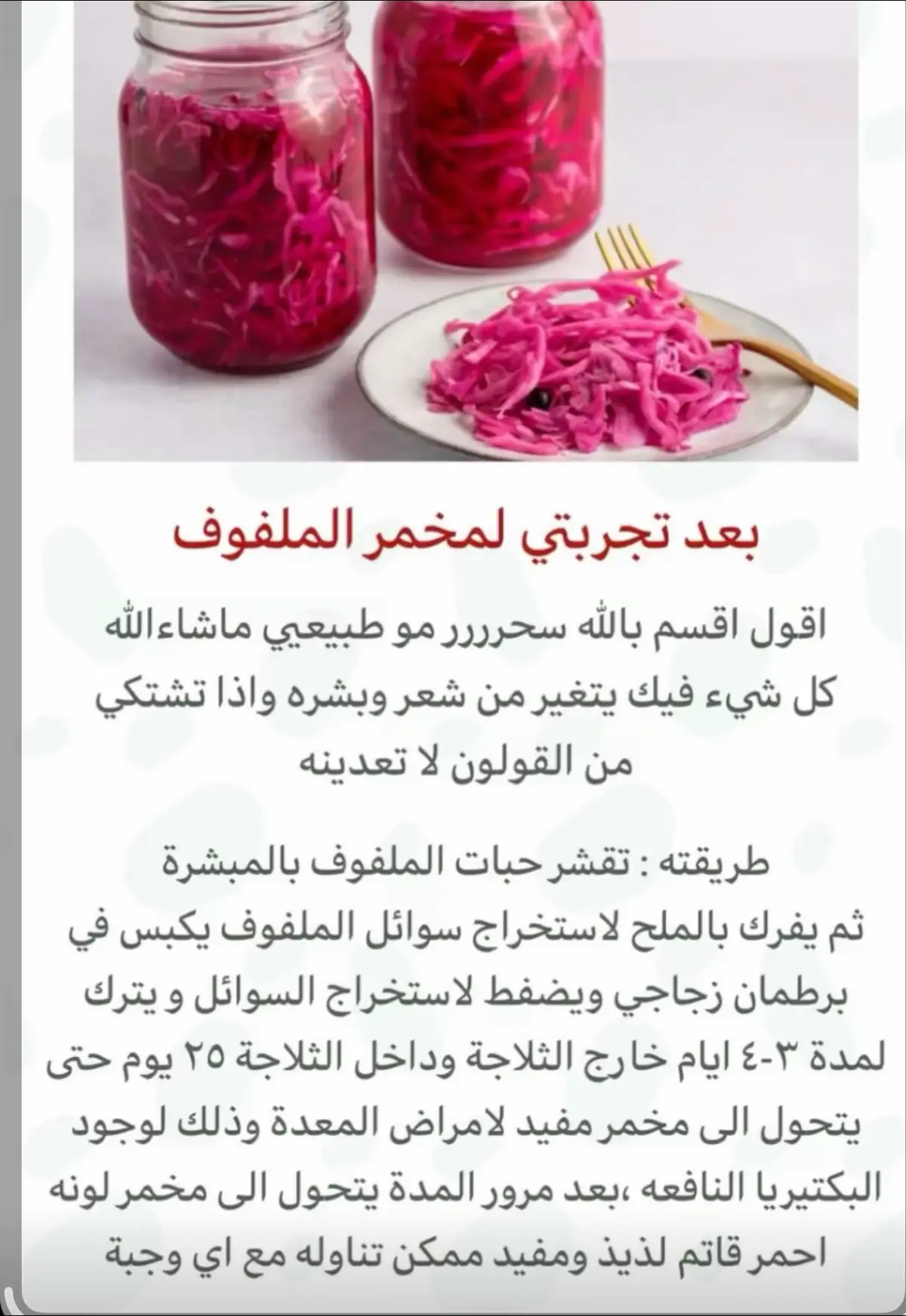 #فوائد_صحية #مخمر-الملفوف#ملفوف #وصفات_سهلة #اكسبلور #مشاهير_تيك_توك_مشاهير_العرب #وصفات #تيك_توك 