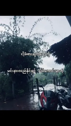 ဝမ်းနည်းမိတယ်🥺 #fypシ゚viral🖤tiktok#ငိုနေရပြီလေ😭😭😭  #💔🥺🥀  #foryoupage 