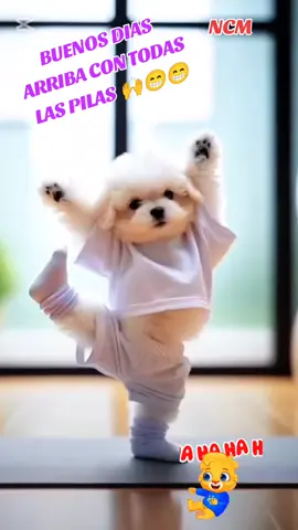 #capcut #paratiiiiiiiiiiiiiiiiiiiiiiiiiiiiiii #buenosdias #humor #videosdivertidos #frasespositivas #videosmusicales #instrumental #ternuritas #videoshermosos❤🥰😍😍🥰😍 #soycreador #capcut_edit #videosdenancy💖💖 #nancycuczukactuacionyentretenimiento♥️♥️ #videos 