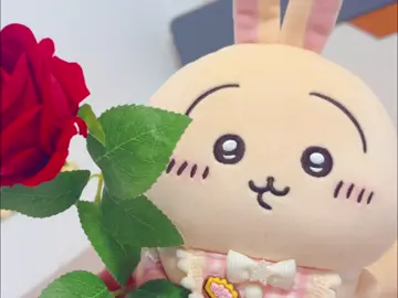 Usagi sends you a flower.#Chiikawa #Usagi #cute #Plush #toys #Love #gift #cool #friends