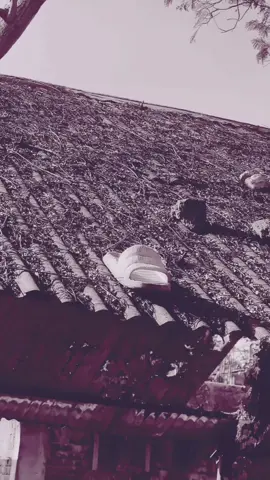 #fypシ゚viral #fyp 