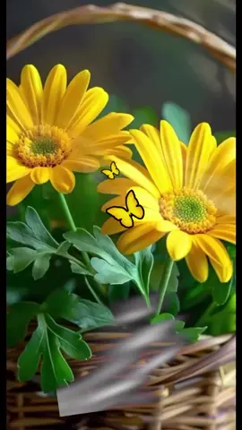 صباح الخير والسعادة لأرقى اصدقاء ✨🤎 صباح الورد ✨💐