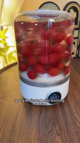Imagine you have this mini washing machine 