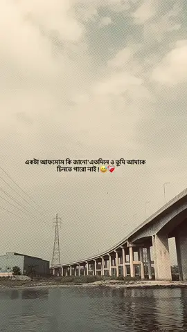 একটা আফসোস কি জানো'এতদিনে ও তুমি আমাকে চিনতে পারো নাই !😅❤️‍🩹#foryou #foryoupage #fypシ #emotional #unfreezemyacount 
