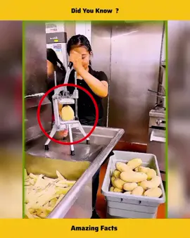 Did You Know?  #facts #interestingfacts #factsoflife #DidYouKnow #sciencefacts #factsdaily #Science  #Astronomy  #space  #fact  #realitfeelit  #viral #foryouシ #foryoupage #contentcreator #instagramreels #instgramgrowth #viralreels #trendingreels 