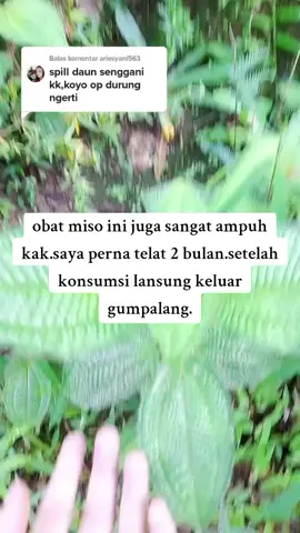 #apotek #apoteker #jual #obat #herbal #bukaberandatiktok #bukaberandafyp #jual#fyp 