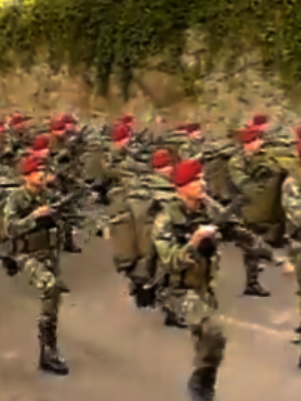 Os Comandos constituem uma das forças especiais do Exército Português. Estão presentemente enquadrados no Regimento de Comandos, unidade integrada na Brigada de Reação Rápida.Mama Sumae