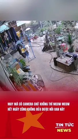 MAY MÀ CÓ CAMERA CHỨ KHÔNG THÌ MEOW MEOW HẾT NGÀY CŨNG KHÔNG RỬA ĐƯỢC NỖI OAN NÀY. #chimcảnh #nuôichim #mèo #hàihước #tintucnewsvn 