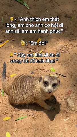 Ò hó #SafariPhuQuoc #GreenCreator #VinWonders #Vinpearl #VinpearlGolf #WonderSummer #TuhaoVietNam #cka4u48 