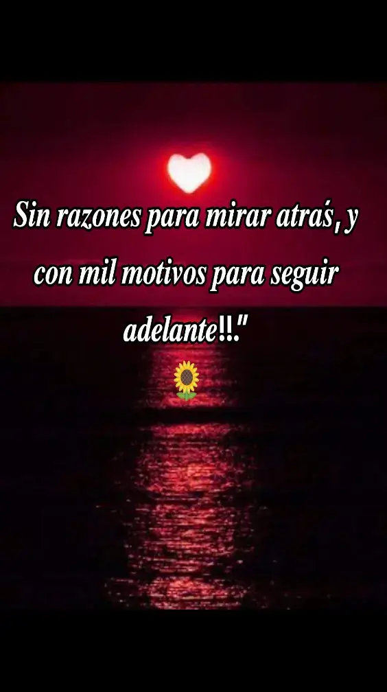 #frasesparadedicar #videosparadedicar #textosbonitos 