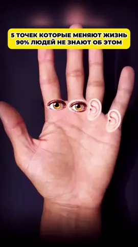 Эти 5 точек меняют жизнь 