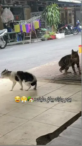 يوم جارك يبلغ عليك  : 🏡😤😂#ابوسالم 