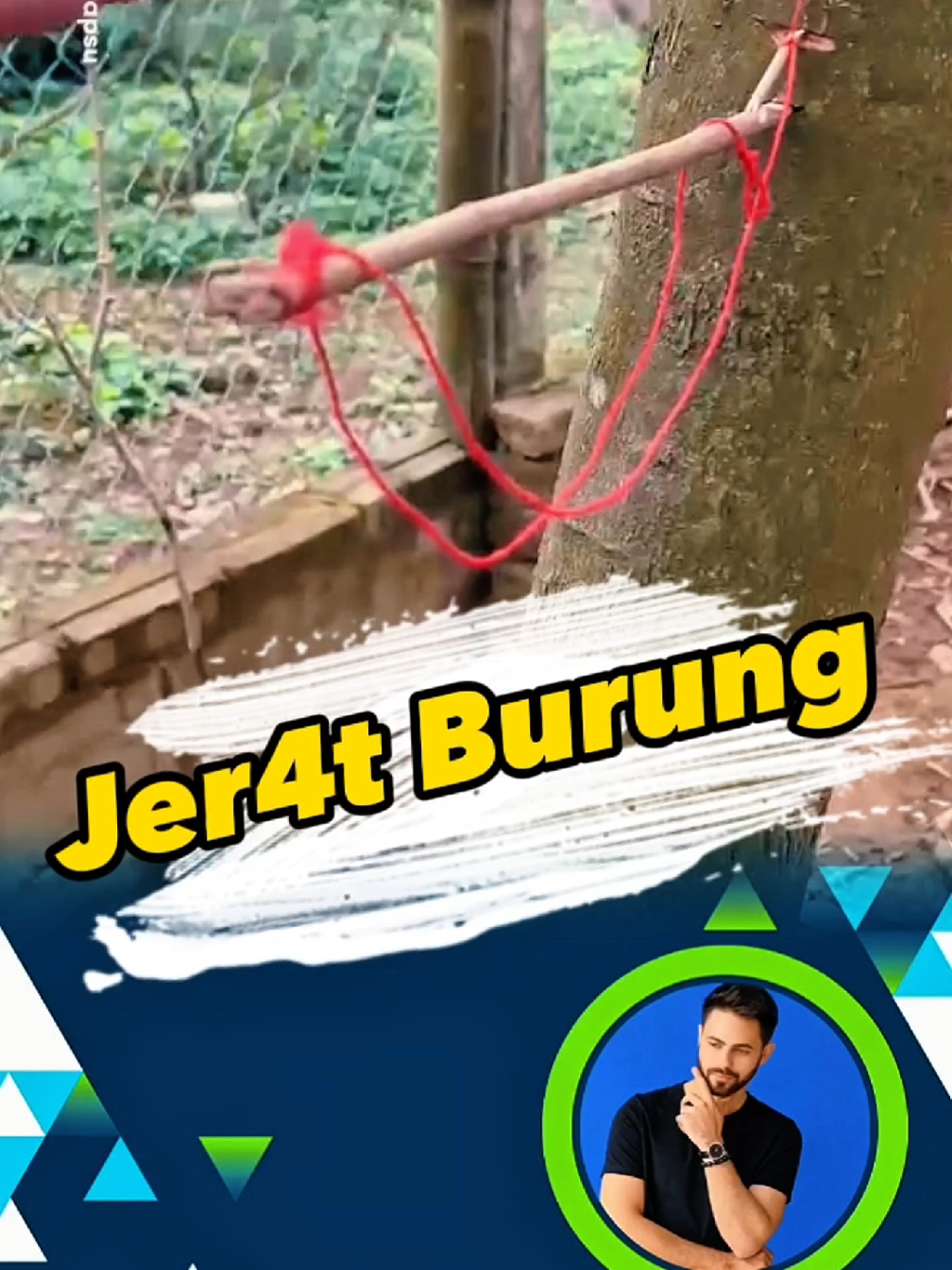 Membuat jer4t burung dengan bahan seadanya #pikatburung #crafting #burungunik 