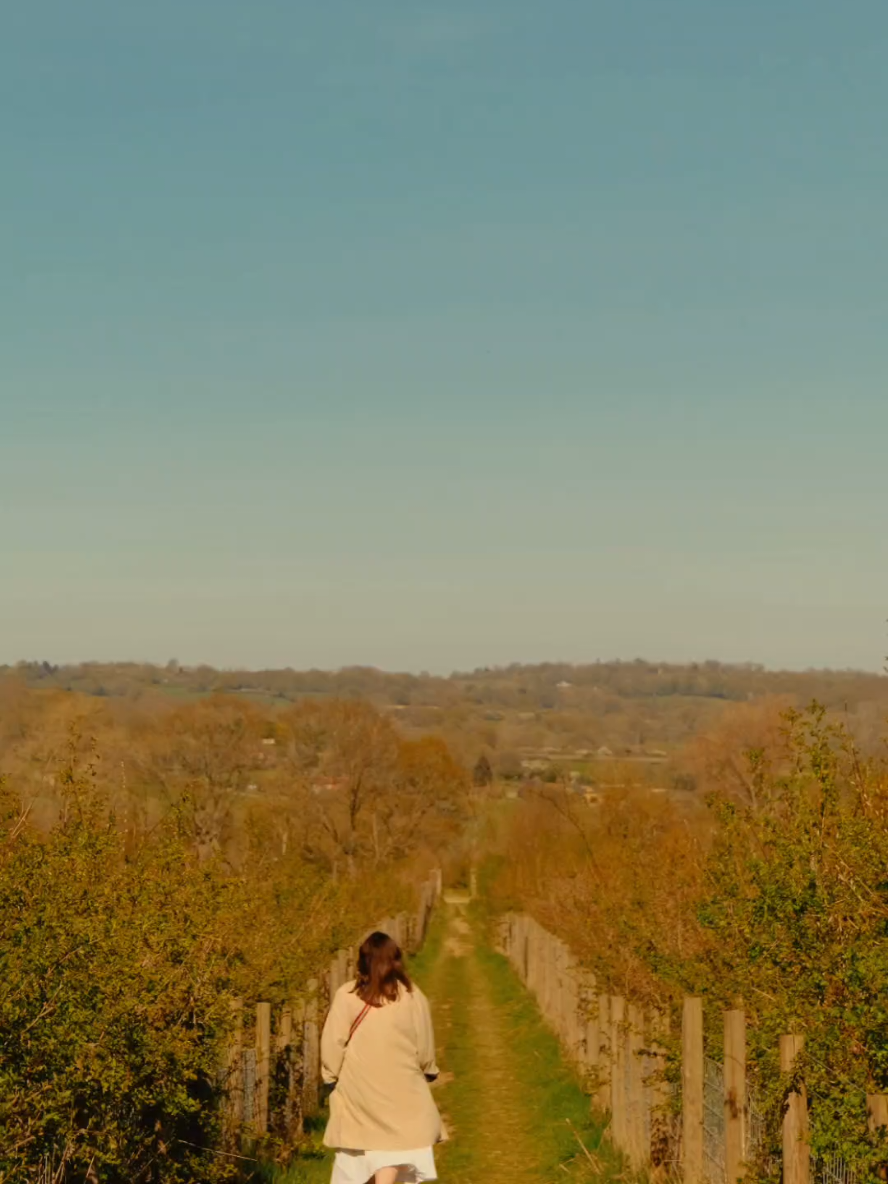 don't wait up  #aestheticvideos #countryside