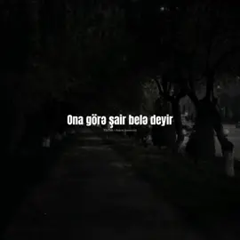 Ona görə şair belə deyir... #kesfet #kəşfet #status #statusvideo #yazılıvideolar #dogru_zaman13 