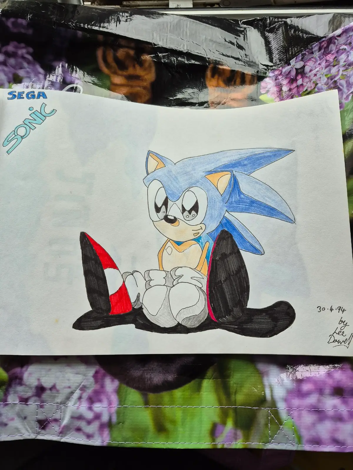#sega #sonic #sonicthehedgehog #music #trending #share #likeandfollow #drawing #jasonsdoodle #viral #sonicsoundtrack #games 