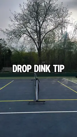 #pickleball 
