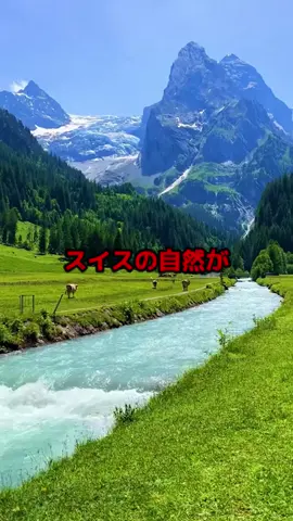 #スイス#絶景