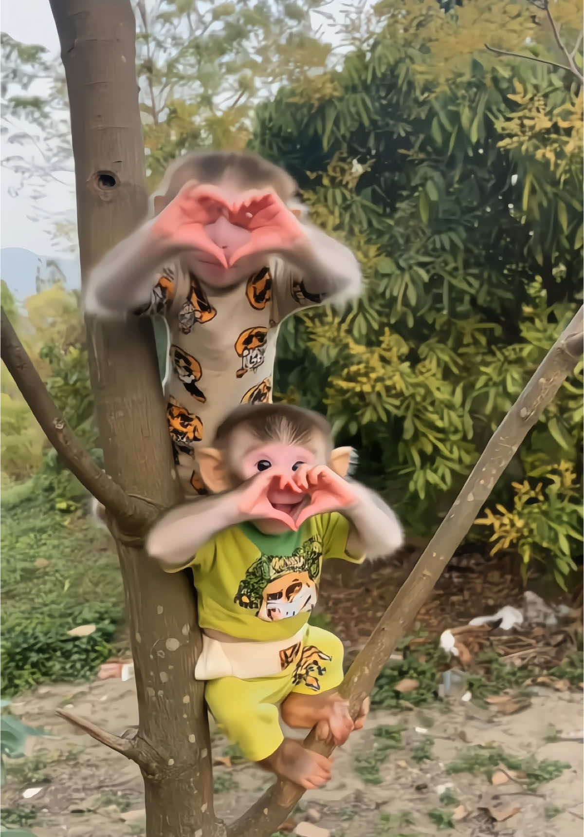 #monkey 🙉 