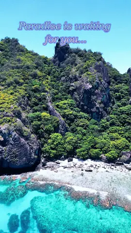 The best place to unwind, relax, swim with the tropical fish and pretend you're Tom Hanks in the movie CASTAWAY!  The number 1 cruiser in Fiji !  #findwilson #cruisinfiji #fiji 