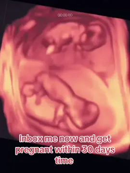#22weekpregnant #pregnant #pregnancy #twins #prayers #mothers #infertility #fyp #ttc #infertilitysucks #God #tryingtoconceive #trending #goviral #in #everyone @everyone #pregnancyjourney #pregnantmama #firsttimemom #pregnancylife #mommylife #foryou #prenatalmusic #momtobe2024 #teammarch2024 ₴ #pregnancyprayer 