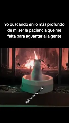 🧘🏻‍♂️🧘🏻‍♂️🧘🏻‍♂️ #parati #fyp #humor #Meme #meme #comedia #sisoy #paciencia #damepaciencia #lagentenocolabora  #gatos #gatostiktok #gatosgraciosos 