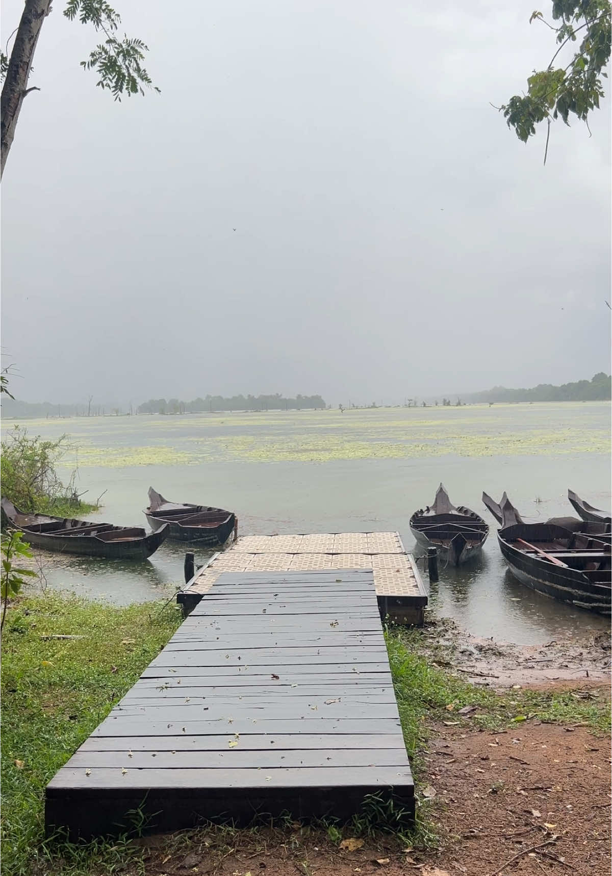 ប្រាសាទព្រះខ័នពេលភ្លៀងធ្លាក់#cambodia  #foryou 