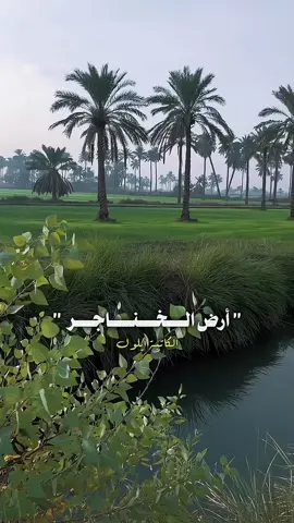 #ارض_الخناجر #الكاتبة_ايلول #روايات #أرض_الخناجر 