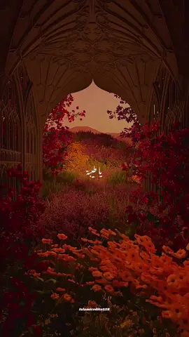Ya tayyeba🌸#unfreezemyacount #arabicnaat #naatsharif #fyp #foryoupage #foryouu #tik_tok #islamic_video #keepsupporting #growmyaccount #viwesproblem #moreviews #islamiceditz559 