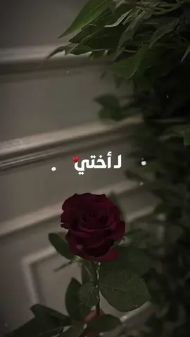 إلـىٰ أختــي البعيده عن عيني القريبة لـقلبــي، اللهم احفظهـآ لي فهي قطعةً من روحي وجزءًا من قلبي فأوصيك بها خيراً، استودعتك يالله صحتها وقلبها وروحها وعافيتها من كل شر وسوء فإنك يا الله خير من استودعت وانت خير الحافظين ..🥺❤️#تصميم_فيديوهات🎶🎤🎬 #ستوريات #تصميم #اختي #اختي_حبيبتي #احبك #يارب #اللهم_احفظ_لي_اختي♥️ #استودعتك_الله #اللهم_احفظها_من_كل_سوء #امين_يارب #جعلتك_في_ودائع_الله #يارب_دعوتك_فأستجب_لي_دعائي #foryou #fypシ゚ #شعر #قصايد 