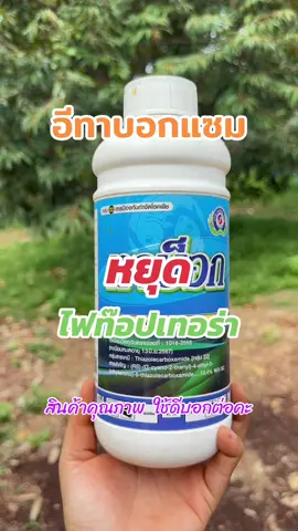 📣ทาบ็อก ยาหยุดโรคไฟท๊อป “สวนทุเรียน”เจอปัญหาไฟท๊อปทุเรียนอยู่หรือเปล่า? ❌ แก้ไขได้ง่ายๆ ด้วย ทาบ็อก จาก เทพวัฒนา ตราปลาคู่ ✨ ยาฉีดพ่น ป้องกันกำจัดโรคพืช ที่เกษตรกรภาคใต้ไว้วางใจ! . ทาบ็อก หยุดโรคไฟท๊อปได้ดี ป้องกันการแพร่กระจายของโรคไฟท๊อป ยาเย็น สามารถใช้ได้กับพืชทุกชนิด  . ฟังเสียงจากเกษตรกรตัวจริง! เกษตรกรหลายท่านคอนเฟิร์มว่า ทาบ็อกช่วยให้ทุเรียนปลอดภัยจากโรคไฟท๊อป และได้ผลผลิตตามเป้าหมาย . ---------- 📍 อัตราใช้ แนะนำ ทาบ็อก 300-500 ซีซี. ต่อน้ำ 200 ลิตร 🌲 ฉีดพ่นให้ทั่วทุกส่วนของต้น ทุก 5-7 วัน ---------- #ทาบ็อก #สารป้องกันกําจัดโรคพืช #เชื้อราทุเรียน #ทาบ็อก #เทพวัฒนาตราปลาคู่ #โรคไฟท๊อป #ทุเรียน #เกษตรกร #แบ่งปันเกษตร #อีทาบอกแซม 