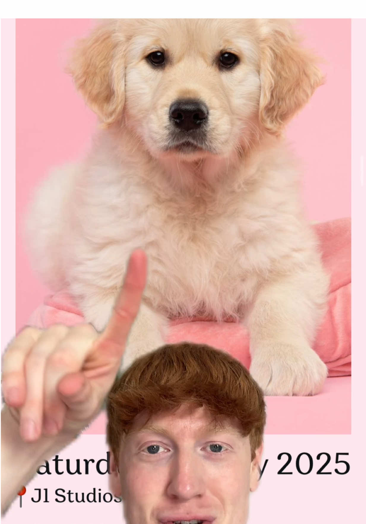 So excited!!!😆😆😆😆 Paws’n’Poses, I’m coming 🐶 #puppyyoga #cardiff #pawsnposes #goldenretriever #puppies #yoga #liamgleed #swansea #Wales 