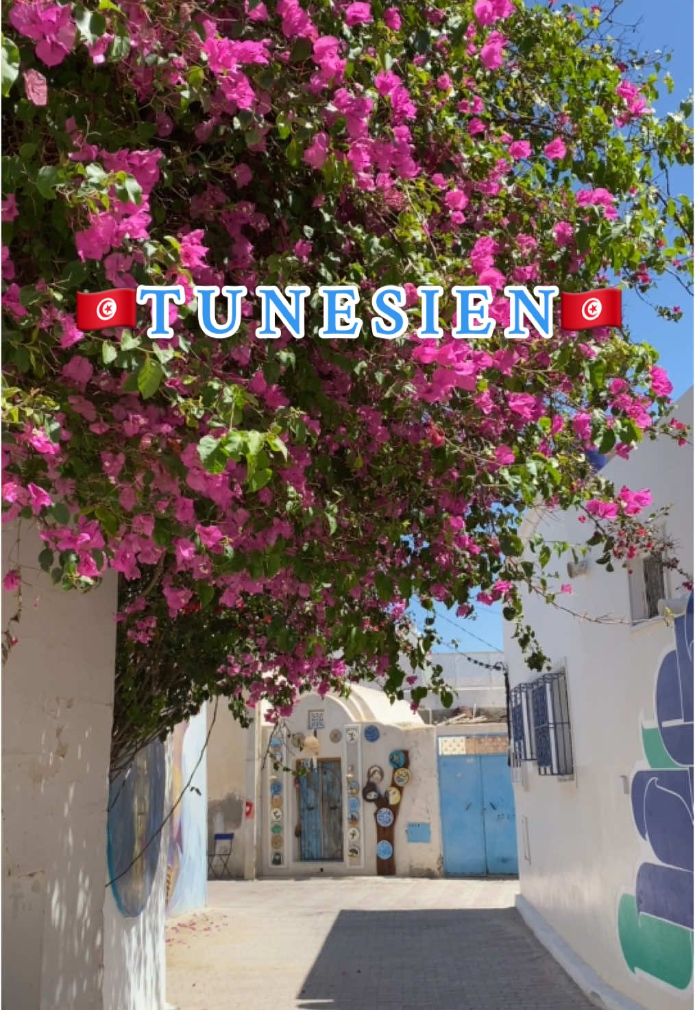 Tunesien - immer ein Besuch wert 🇹🇳  . . #tunisia🇹🇳#tunesien#tunis#tunisienne#tunisian#tunisian_tik_tok #tunisie🇹🇳 #tunisie_تونس #djerba#djerba🇹🇳🇹🇳🇹🇳 #djerbaladouce🌴🌴🌴☀️☀️☀️🌴🌞🏊 #djerbahood #art#streetart#northafrica#nafri#dz#dzpower🇩🇿 #dzpower#travelgirl#hijabi#algerienne#balti#africa 