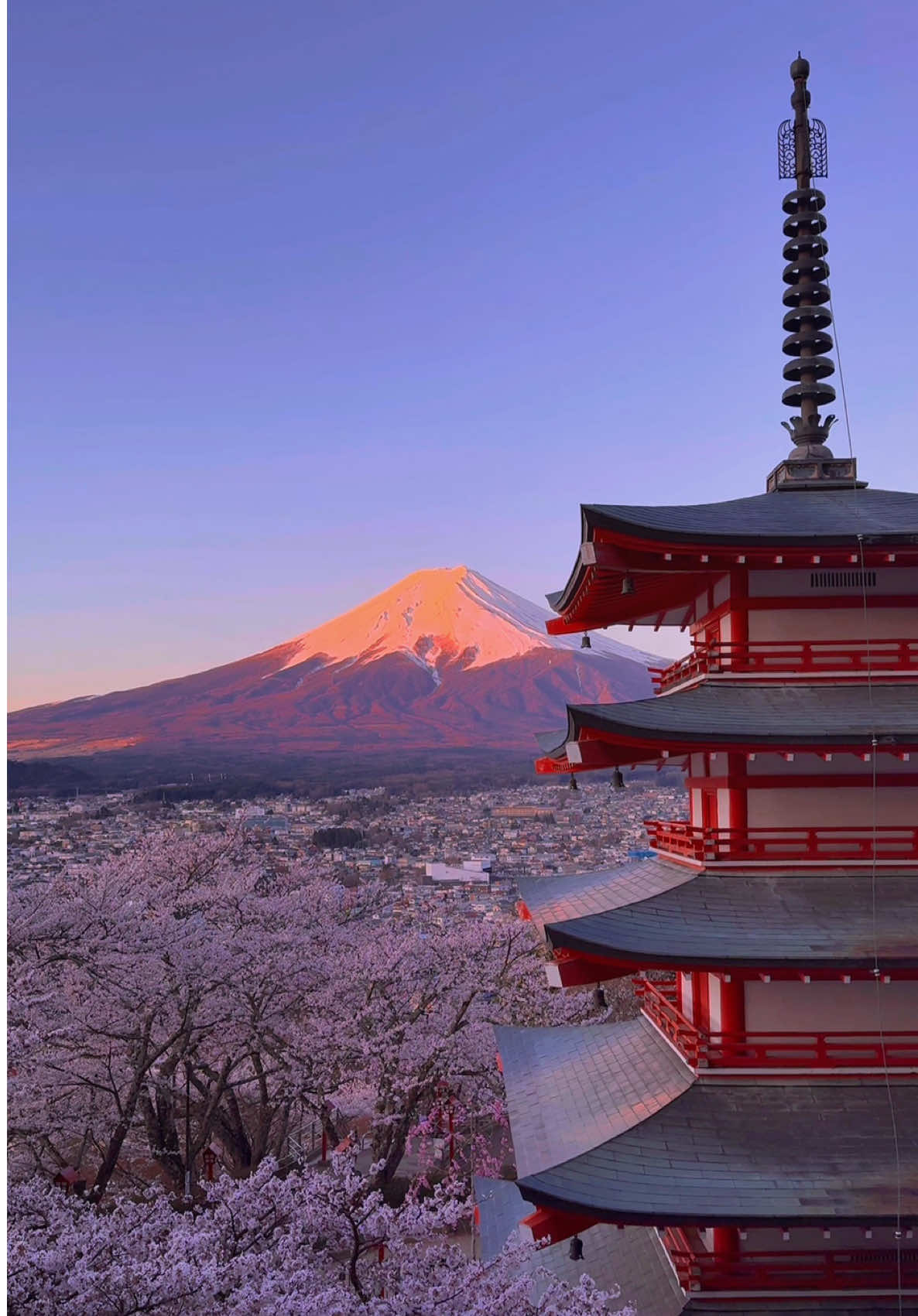 今朝見た日本一美しいかたわれ時🌅 📍 Arakurayama Sengen Park / Yamanashi🇯🇵 🗾 新倉山浅間公園 雪が積もった白い斜面が朝日に照らされ、鮮やかな紅色に染まった紅富士、朱塗りの五重塔、そして満開の桜の奇跡の朝🌅 まさに”NIPPON”を感じることが出来る絶景🌸🗻✨️ 日本でこれ以上に美しいかたわれ時無いと思います🥹 異論は認めます！ The most beautiful sunrise I saw in Japan this morning🌅 The white snow-covered slopes are illuminated by the morning sun, turning Mt. Fuji a vibrant crimson, the vermilion-painted five-story pagoda, and cherry blossoms in full bloom - a miraculous morning🌅🌸🗻✨️ I don't think there's a more beautiful moment in Japan. 🥹 I accept disagreement! 【お知らせ】 サブスクリプションの運用開始‼️ 私のサブスクにご登録すると、極上の癒しを体験できます💞1人でも多くの人に癒しをお届けしたいという思いで活動を続けているので応援と思って登録して頂けるととても嬉しいです。良かったらよろしくお願い致します🥰 🖼またサブスクに登録するとほぼ毎日私が旅先で撮った絶景写真も高画質で保存できます！ 【Announcement】 Subscriptions are now available! ️ If you sign up for my subscription, you can experience the ultimate healing💞I continue my activities with the desire to bring healing to as many people as possible, so I would be very happy if you would sign up as a sign of support. Thank you if you like🥰 🖼 Also, if you subscribe to my channel, you can save the stunning photos I take during my travels in high quality! ✅Right now we are offering a half price sale for the first 5 customers! ✼••┈┈┈┈••✼••┈┈┈┈••✼ ✔🗓2025 / 4 / 16🌸 ▪️Beautiful places in japan🇯🇵 ▪️Please check out➴⡱@matcha_film ▫️𝙲𝚊𝚖𝚎𝚛𝚊:  iPhone15promax / DJI Osmo Mobile 7P ✼••┈┈┈┈••✼••┈┈┈┈••✼ #sakura #cherryblossom #cherryblossoms #spring  #japan #japantravel #japantrip #anime #japangram #arakurayamasengenpark #yamanashi #야마나시 #일본 #후지산 #벚꽃 #sunrise #mtfuji #yourname #traveljapan #tripjapan #山梨 #新倉山浅間公園 #朝日 #紅富士 #山梨観光 #日本の風景 #富士山 #桜 #君の名は